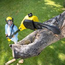 Best Lawn Watering Services  in Inverness, CA